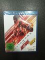 Ant-Man and the Wasp - Marvel (Teil: 2)[Blu-ray/NEU/OVP] Paul Rudd, Evangeline L