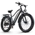 26 Zoll Elektrofahrrad 48V 20AH Trekking eBike 1000W EMountainbike 25km/h E Bike