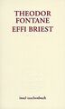 Effi Briest. von Theodor Fontane | Buch | Zustand sehr gut