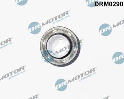 Dr.Motor Automotive Wellendichtring, Nockenwelle DRM0290 für CITROËN DS