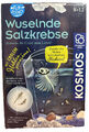 Fun Science Wuselnde Salzkrebse (2019, Game)