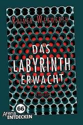 Das Labyrinth erwacht: Limitierte Jubiläumsausgabe von W... | Buch | Zustand gut*** So macht sparen Spaß! Bis zu -70% ggü. Neupreis ***