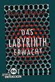 Das Labyrinth erwacht: Limitierte Jubiläumsausgabe von W... | Buch | Zustand gut