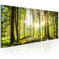 Strand Meer Wald Landschaft VLIES LEINWAND BILDER  WANDBILDER XXL WOHNZIMMER