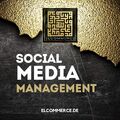 Social Media Marketing Management - TikTok - Instagram - Facebook