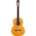 Konzertgitarre Cordoba Dolce Akustikgitarre Konzert Akustik Gitarre NEU