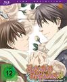 Sekaiichi Hatsukoi. Staffel.2.1, 1 Blu-ray (Limited Edition mit Sammelschuber)