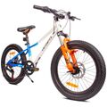 20 Zoll Kinder Fahrrad Jungen Mädchen Kinderfahrrad Mountainbike 6 Gang Calix