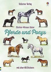 Sticker-Wissen Natur: Pferde und Ponys von Spector, Joanna | Buch | Zustand gut*** So macht sparen Spaß! Bis zu -70% ggü. Neupreis ***