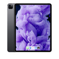 Apple iPad Pro 4  (12,9") 256 GB Wi-Fi + Cellular - Space Grau |PG2539-137930...