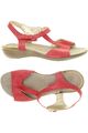 Scholl Sandalen Damen Sommerschuhe Sandalette offene Schuhe Gr. EU 4... #cf3f9f5