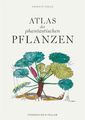 Atlas der phantastischen Pflanzen | Francis Hallé | Buch | 128 S. | Deutsch