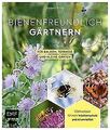 Wildbienenfreundlich gärtnern für Balkon, Terrasse und k... | Buch | Zustand gut