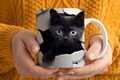 Kaffeetasse Schwarze Katze 3D Tasse Kaffeebecher Geschenk Keramik