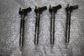 4 x ORIGINAL  Einspritzdüse  AUDI SEAT  SKODA VW  2.0 0445116030 D243