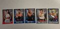 WWE PAYBACK -  2007 - TOPPS - 5 Karten