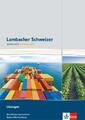 Lambacher Schweizer für berufliche Gymnasien. 12. und 13. Schuljahr. Lösungen. B