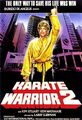 Karate Warrior 2 - Blood Tiger