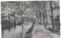 FRÜHE SELTENE VINTAGE POSTKARTE, EIN ANBLICK AUF DIE ABWANDERUNG, CIRENCESTER, GLOUCESTERSHIRE, 1905