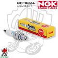 Kerze Spark Plug NGK BR8HS piaggio ape Cross Rst 50 1999 - 2013