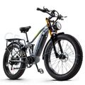 26 Zoll E Bike Elektrofahrrad 1000W Fat Tyre ebike Herren/Damen E Mountainbike