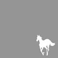 White Pony von Deftones | CD | Zustand sehr gut