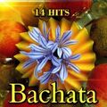 VARIOUS ARTISTS 14 Hits Bachata (CD)