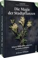 Kochbuch Essbare Wildpflanzen ? Magie der Stadtpflanzen: Urbane Wildkräuter erke