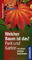 Welcher Baum ist das?  Park und Garten: 120 Arten e... | Buch | Zustand sehr gut