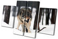 Animals White Wolf Wild MULTI Leinwand Wand Kunst Bild drucken