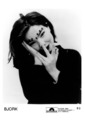 Björk - Promo Photo 1993 - Debut - Post - Vespertine - Fossora -  Selmasongs