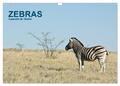 Zebras - Faszination der Streifen (Wandkalender 2025 DIN A3 quer), CALVENDO Mona