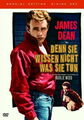 2xDVD DENN SIE WISSEN NICHT WAS SIE TUN James Dean SPECIAL EDITION BONUS NEU OVP