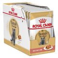 Royal Canin Britisch Kurzhaar Katzenfutter 12x85g