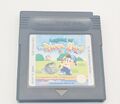 Legend of The River King Nintendo Gameboy Color Modul GBC - Spiel