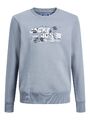 Jack & Jones Jungen Sweatshirt Gr. 98-128 JCOOUTDOOR LOGO SWEAT CREW NECK MNI