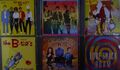 The B-52´s- 6-CD-Sammlung incl.Love Shack (Japan-CD) & Party Mix- lesen