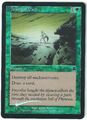 FOIL   Tranquil Path / Pfad der Stille  - APOCALYPSE -  englisch  (near-mint)