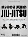 Das große Buch des Jiu-Jitsu: Alle Griffe, Sweeps u... | Buch | Zustand sehr gut