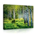 WALD NATUR LANDSCHAFT Wandbilder Wohnzimmer Leinwand Bilder Canvas Wandbild 24