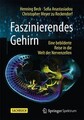 Faszinierendes Gehirn