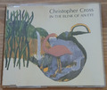 CHRISTOPHER CROSS - in the blink of an eye -Maxi CD/BMG Ariola 1992,743211102902