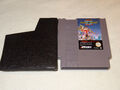 Double Dragon II Nintendo NES Spiel nur das Modul