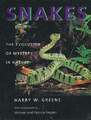 Snakes: The Evolution of Mystery in Nature Fogden, Patricia Buch