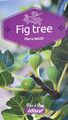 Choose your own fig variety - 1 x fig cutting / feigen stecklinge  (€10 - €12)