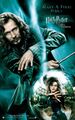 Harry Potter und der Orden des Phönix (2007)_7 Film Filmposter Leinwand Ikone