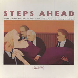 Steps Ahead Steps Ahead LP Album Vinyl Schallplatte 036