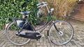 Gazelle Tour Populair Damen Hollandrad, RH: 57 cm, 7 Gang, Fahrrad, Omafiets.