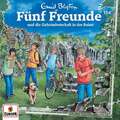 Hörspiel Fünf Freunde verschiedene Folgen zum auswählen auf (CD) (OVP)