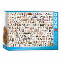 Eurographics Puzzle Hundewelt, Hunde, 2000 Teile, 67.6 x 96.8 cm, 8220-0581